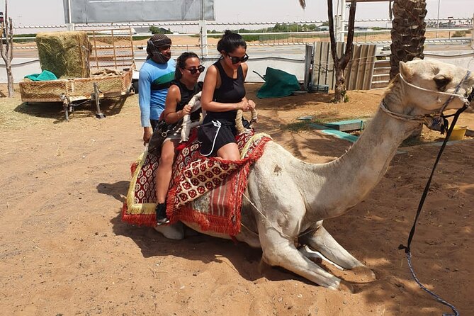 Dubai: All Inclusive Desert Safari with ATV, Camel, Horse ride, Vip & more - What $164.50 buys you