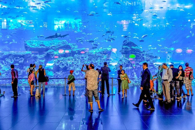 Dubai Aquarium and Underwater Zoo - The 48-meter tunnel gives the clearest views