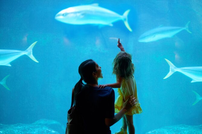 Dubai Aquarium and Underwater Zoo - King Croc and the animals beyond the fish tanks