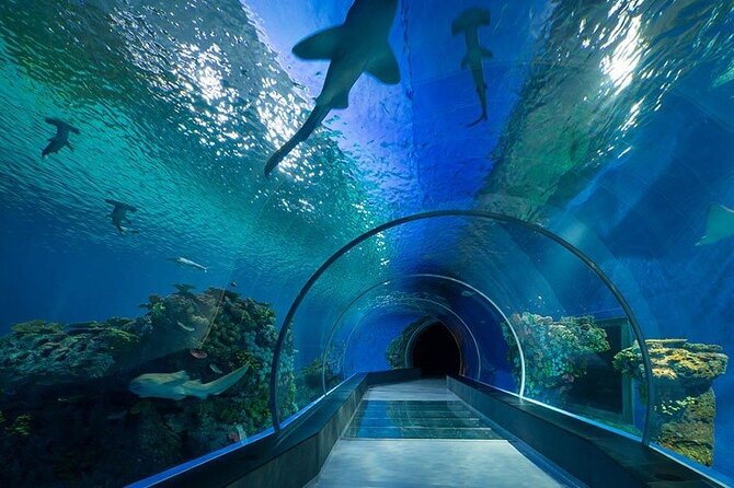 Dubai Aquarium and Underwater Zoo - The skip-the-line promise needs careful reading