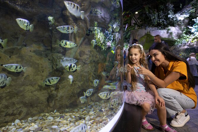 Dubai Aquarium and Underwater Zoo Entrance Ticket - The Underwater Zoo and its unusual animal collection