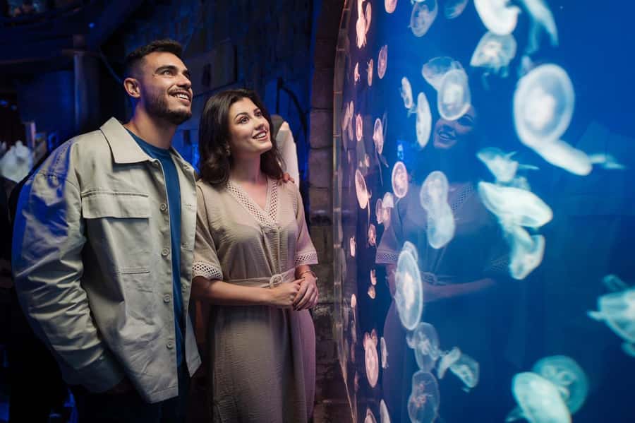 Dubai: Aquarium and Underwater Zoo Experience - Dubai Aquarium’s huge tank makes the first impression
