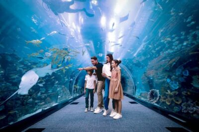 Aquarium and Underwater Zoo Experience