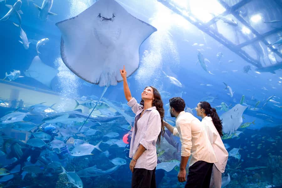 Dubai: Aquarium and Underwater Zoo Experience - What families should expect