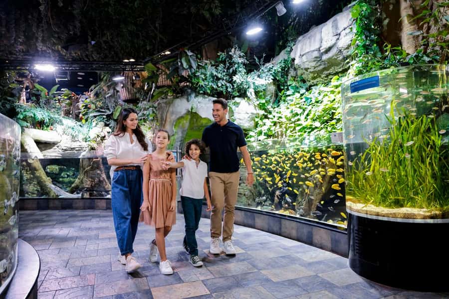 Dubai: Aquarium and Underwater Zoo Experience - Is Dubai Aquarium worth the money?