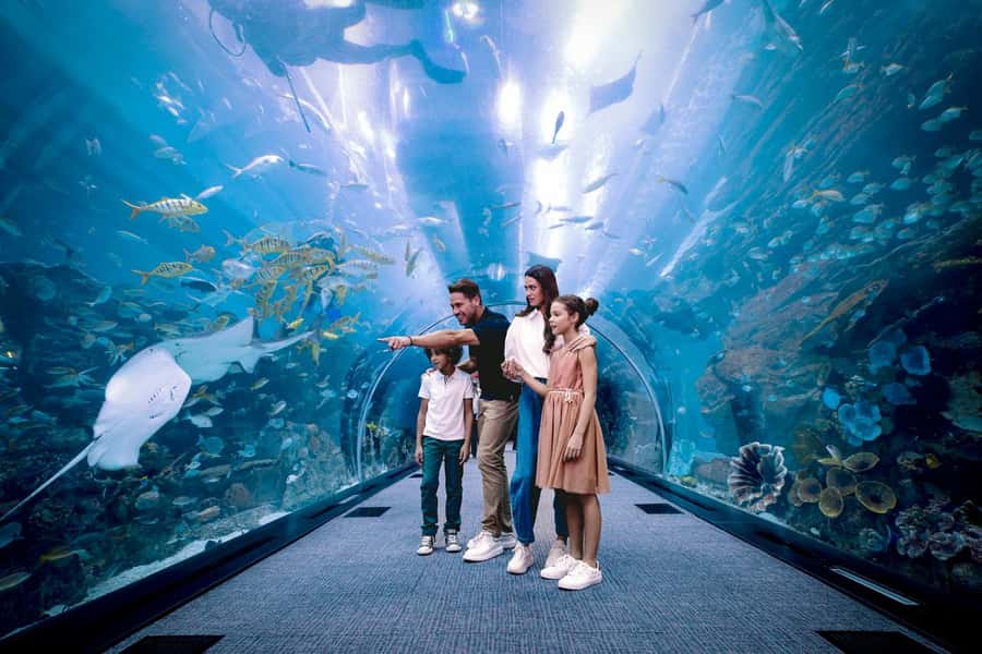 Dubai: Aquarium and Underwater Zoo Experience - The Underwater Zoo adds variety and useful context