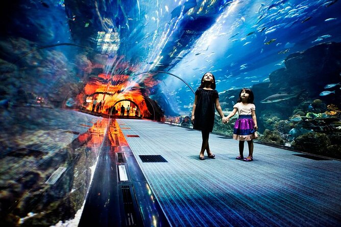 Dubai Aquarium and Underwater Zoo - Rainforest, Rocky Shore, and Living Ocean