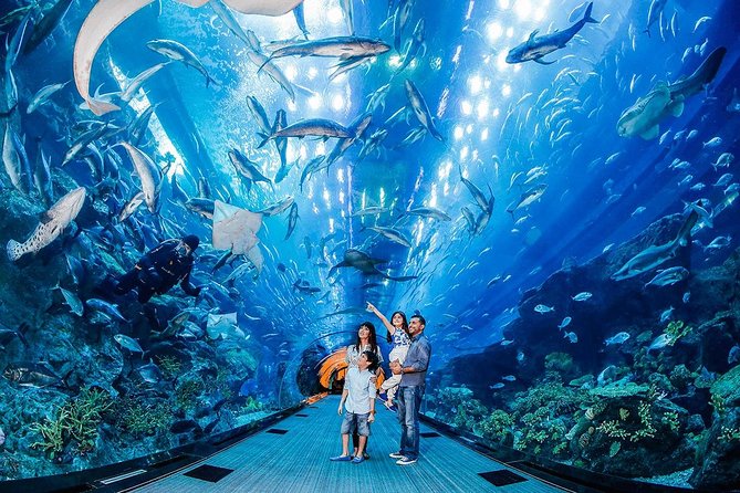 Dubai Aquarium & Level 124 Burj Khalifa Combo - Starting at Burj Khalifa Level 124