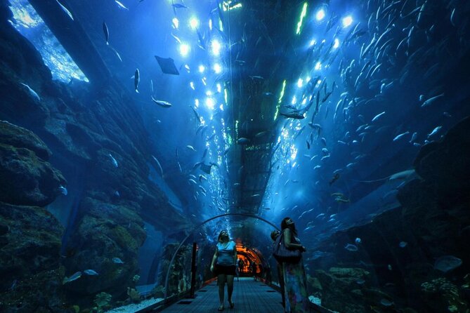 Dubai Aquarium + Penguin Cove Tickets with Transfers - Key points at a glance