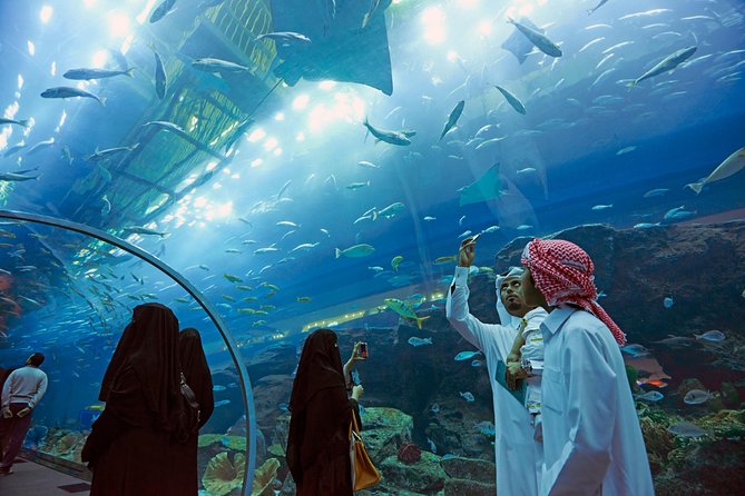 Dubai Aquarium + Penguin Cove Tickets with Transfers - Meeting the penguins at Penguin Cove