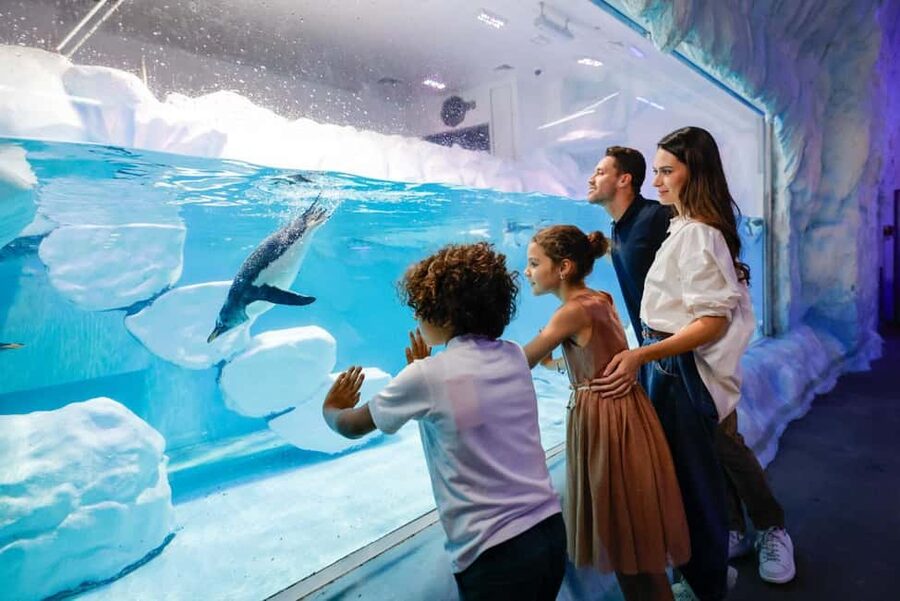 Dubai Aquarium + Sky Views Observatory Tickets - Sky Views Observatory and the Burj Khalifa outlook