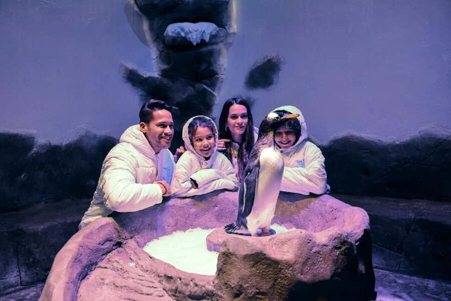 Dubai Aquarium + Sky Views Observatory Tickets - Practical details before you book