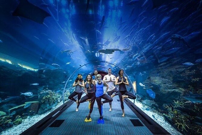 Dubai Aquarium underater zoo penguin cove with optional transport - The giant tank inside Dubai Mall