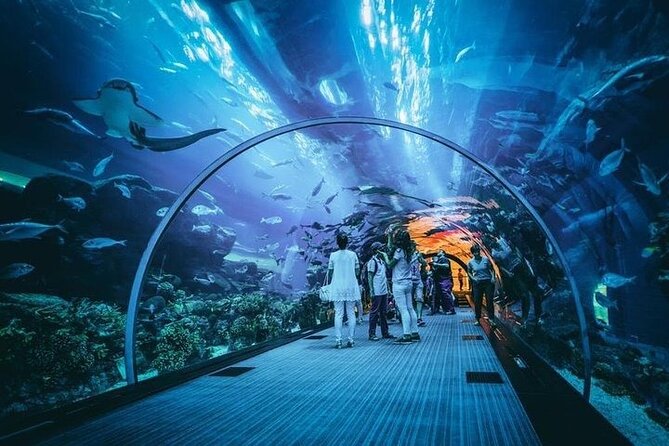 Dubai Aquarium underater zoo penguin cove with optional transport - Walking through the Aquarium Tunnel