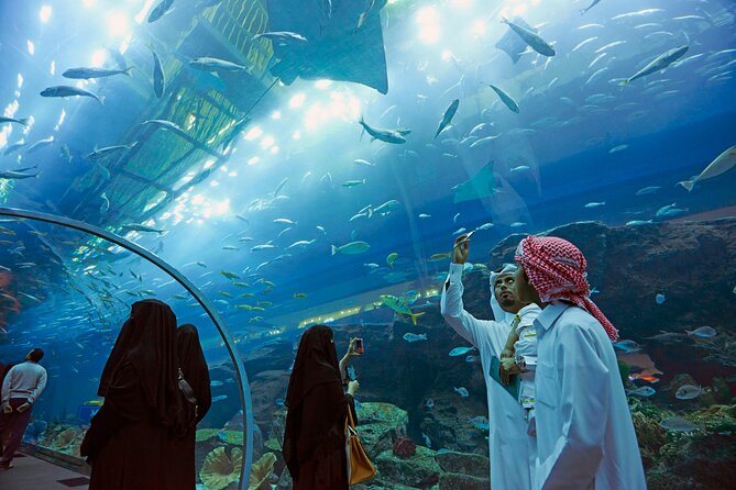 Dubai Aquarium & Underwater Zoo with Penguin Cove - Timing, meeting point, and getting there