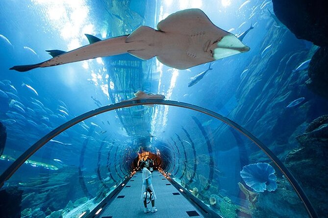 Dubai Aquarium UnderwaterZoo and Penguin cove Admission Ticket - How much value do you get for $48?