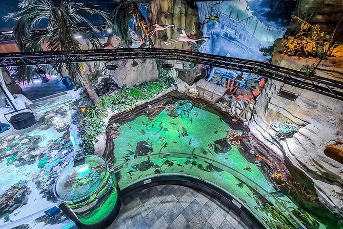 Dubai Aquarium UnderwaterZoo and Penguin cove Admission Ticket - Timing your visit around the attraction