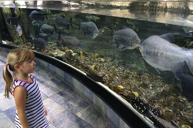 Dubai Aquarium UnderwaterZoo and Penguin cove Admission Ticket - Who will enjoy this most?