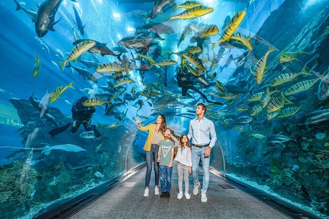 Dubai Aquarium with Various Animal Encounter and Access Options - What the Dubai Aquarium visit is really like