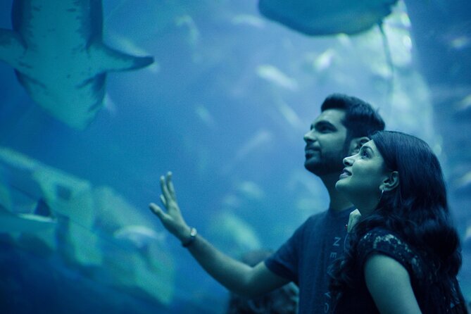 Dubai Aquarium with Various Animal Encounter and Access Options - Practical ways to make the hour count