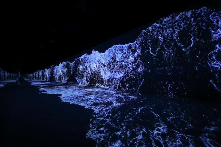 Dubai: Arte Immersive Museum Entry Ticket - Is the $40 ticket good value?