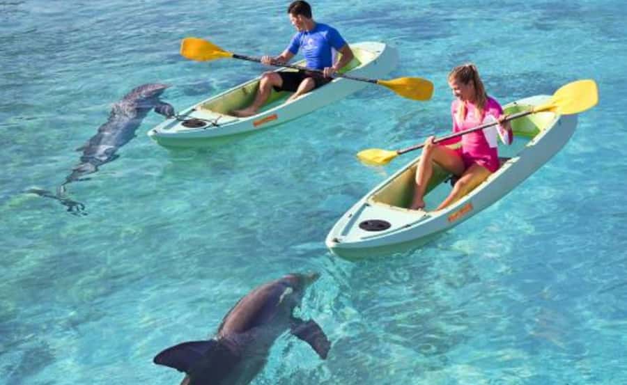 Dubai: Atlantis Dolphin Kayak Trip & Aquaventure Waterpark - Getting ready for the water