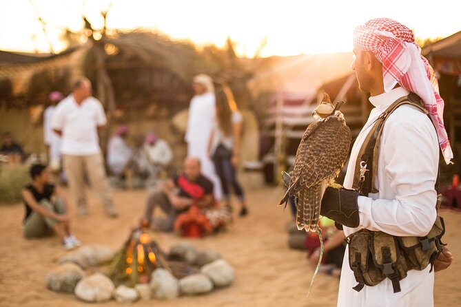 Dubai: Bedouin Culture Safari - Entering Dubai Desert Conservation Reserve