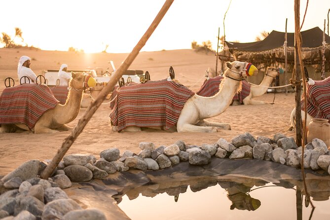Dubai: Bedouin Culture Safari - A vintage Land Rover through the reserve