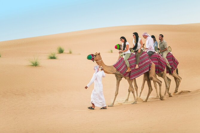 Dubai: Bedouin Culture Safari - A 15-minute camel ride to the village
