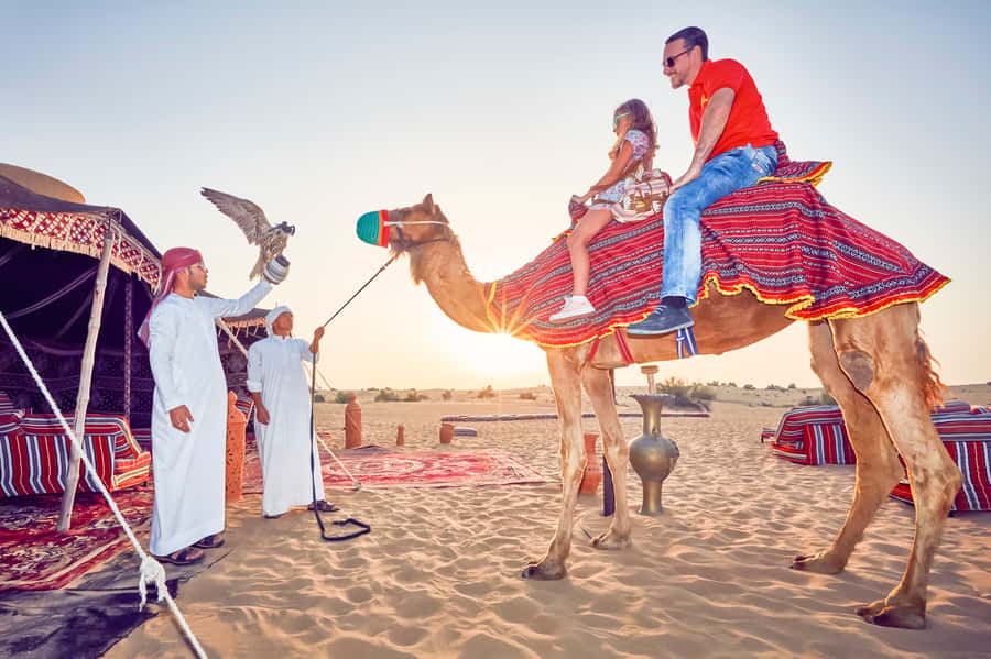 Dubai: Big Bus Hop-On Hop-Off Tour & Optional Dhow Cruise - Should you book the Dubai Big Bus tour?