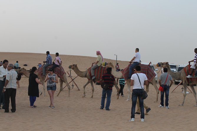 Dubai: Buggy Dune Bashing, Sand Boarding, Camel Ride & Show - Is $91 good value?