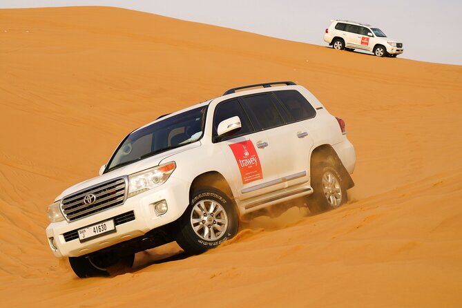 Dubai Buggy Tour in red sands and Desert Safari - Who will enjoy this Lahbab outing most
