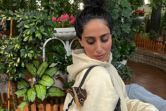 Dubai Butterfly Garden Entry Ticket - Ten domes built for a year-round butterfly garden