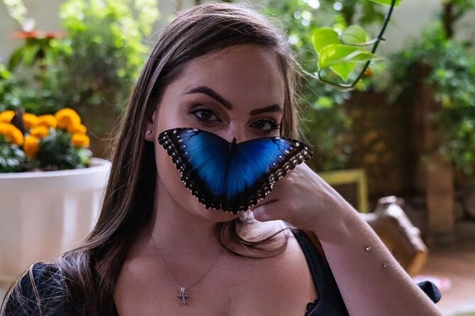 Dubai Butterfly Garden Entry Ticket - Walking through areas filled with butterflies