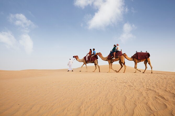 Dubai: Camel Caravan, Bedouin Breakfast with Al Marmoom Oasis - The 45-minute camel caravan