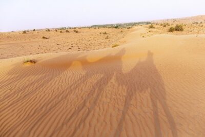 Dubai Camel Desert Safari, Traditional Meal & Heritage Activities