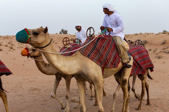 Dubai Camel Desert Safari, Traditional Meal & Heritage Activities - Timing, clothing, and practical details