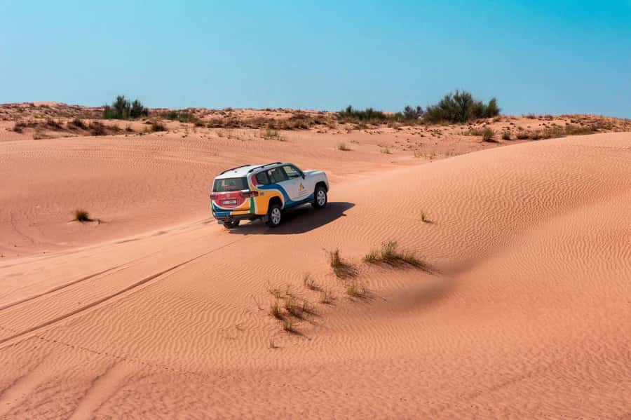 Dubai: Camel Safari, Wildlife & Lakeside Breakfast - Meeting the dromedaries before the ride