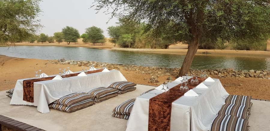 Dubai: Camel Safari, Wildlife & Lakeside Breakfast - Looking for Arabian oryx and gazelles