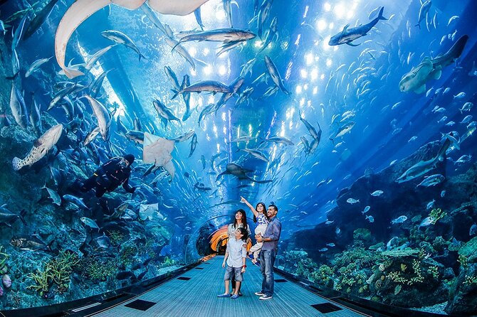 Dubai City Pass: all inclusive Pass with Hop On Hop Off & tours - Boat trips, from fast sightseeing to a sunset dinner