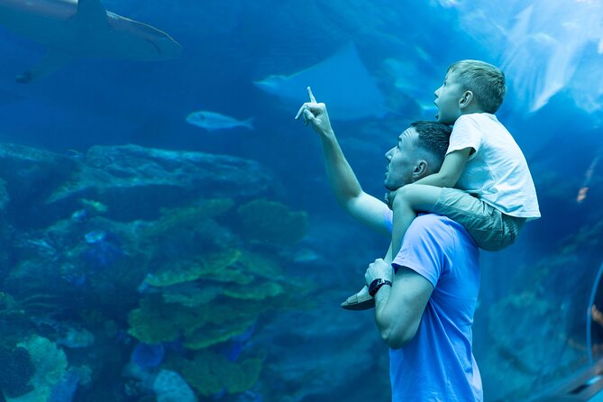 Dubai City Pass: all inclusive Pass with Hop On Hop Off & tours - Museum of Illusions and AYA Universe