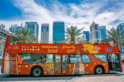 City Sightseeing HOHO Bus Tour + Sunset & Night Tour
