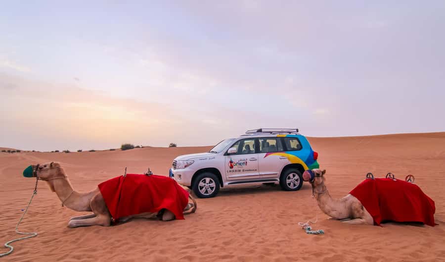 Dubai: City Tour and Desert Experience with Fun Activities - Sunset at the camp, followed by dinner