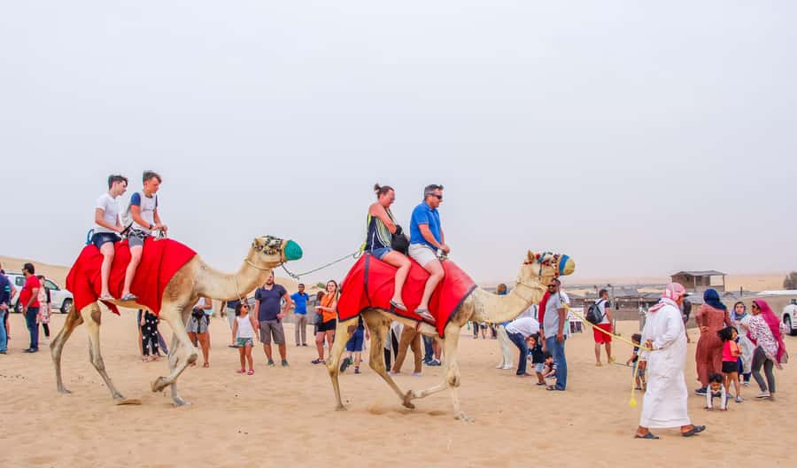 Dubai: City Tour and Desert Experience with Fun Activities - Guides, transport, and the pace of the day