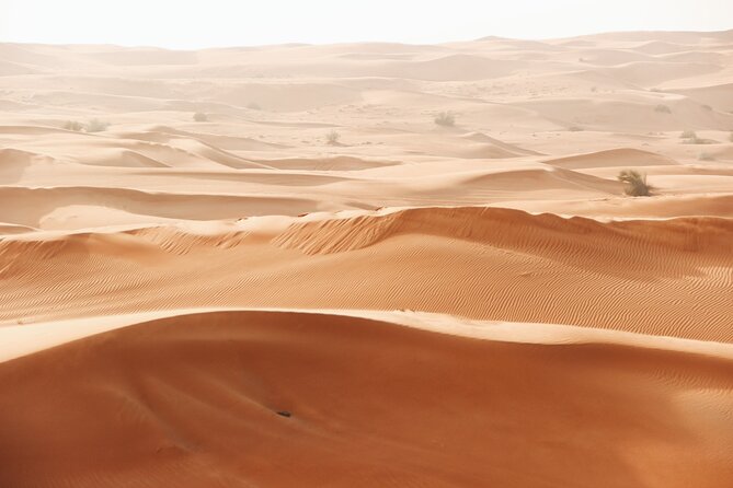 Dubai City tour and Desert Safari Combo with free Arabic scarf - From skyscrapers to the desert