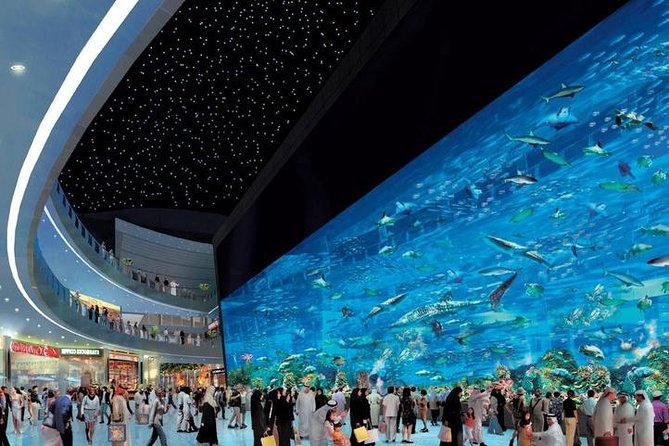 Dubai City tour from Abu Dhabi - Palm Jumeirah and Atlantis bring the big views