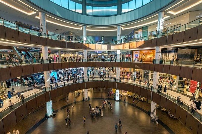 Dubai City Tour : Half Day - The Museum of the Future and Dubai Frame