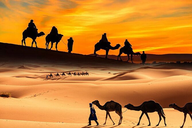 Dubai City Tour (Old & New) Desert Safari, BBQ, Camel Ride, Shows - Camel rides, sand boarding, and camp activities