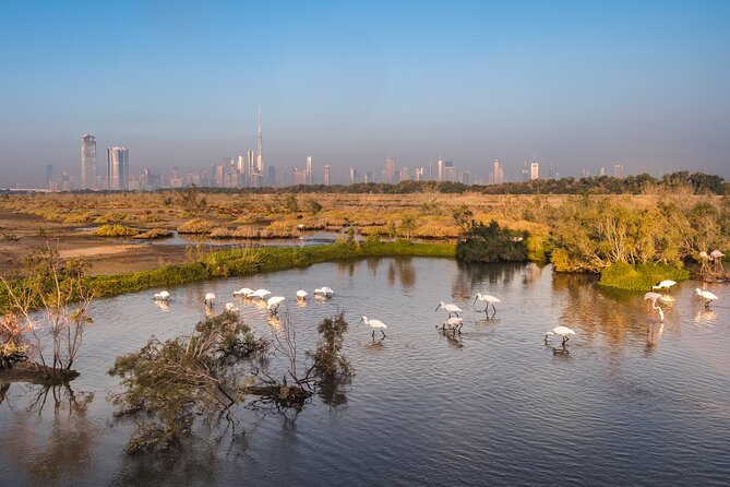 Dubai City Tour with Burj Khalifa - A big-picture day from old Dubai to the Burj Khalifa