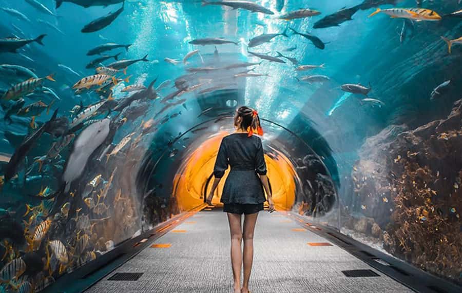 Dubai: City Tour with Burj Khalifa and Underwater Zoo Ticket - Burj Khalifa entry needs careful planning